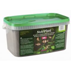 Nutriplant akvarijní substrát 10l