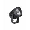 Reflektor, LED technologie, energetická třída A++ až A, 30 W / 2800 lm. Ochranné krytí IP65 proti prachu a tryskající vodě. Venkovní i vnitřní využití. Z vysoce kvalitního hliníku a skla. Černé provedení.