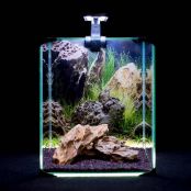 Akvárium set NEO LIGHT ROCK/PLANT 20l DIVERSA