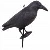 Plašič ptáků a holubů Havran sedící 39x19x11 cm černý