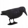 Plašič ptáků a holubů Havran sedící 39x19x11 cm černý