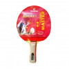 Pálka na stolní tenis Richmoral MASTER 1* DB105