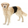 Inkontinenční kalhoty pro psy chrání před nežádoucím únikem moči. Velikost 90x30cm