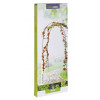 PROGARDEN Zahradní oblouk na růže a popínavé rostliny 140 x 240 cm KO-X61250000