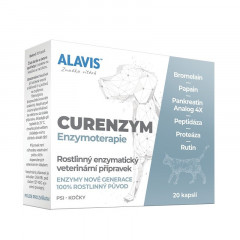 ALAVIS CURENZYM Enzymoterapie 20 kapslí