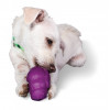 Odolná hračka pro psy ze série Busy Buddy® s možností vložení pamlsků. Velikost S je vhodná zejména pro psy o hmotnosti 4,5 - 9,1 kg.