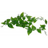 Lucky Reptile Jungle Vine Philo Vine cca 200 cm