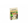 Beeztees Catnip box 20g