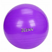 Gymnastický míč Yoga Ball Sedco 65 cm - fialová