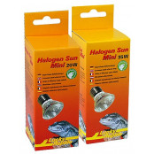 Lucky Reptile Halogen Sun Mini 20W Double Pack