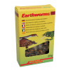 Lucky Reptile Earthworms 10g