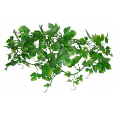 Lucky Reptile Jungle Vine Gape Leaf Vine cca 200 cm