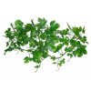 Lucky Reptile Jungle Vine Gape Leaf Vine cca 200 cm