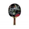 Pálka na stolní tenis GIANT DRAGON GUARD 12205
