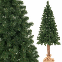 Vánoční stromek Borovice na kmínku 160 cm