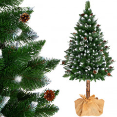 Vánoční stromek Borovice kanadská na kmínku 220 cm