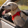Bezpečnostní pás pro psa SPRINGOS PA0228