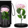 Věčná růže ve skle s led osvětlením SPRINGOS HA5157