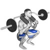 Olympijská dřepovací osa SEDCO OB002 Safety Squat bar