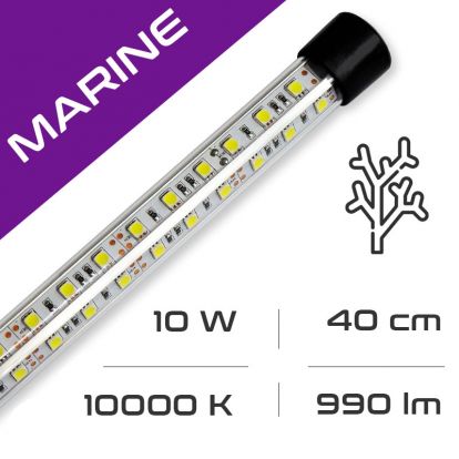 LED osvětlení do akvária GLASS MARINE 10W, 40 cm, 10000K AQUASTEL